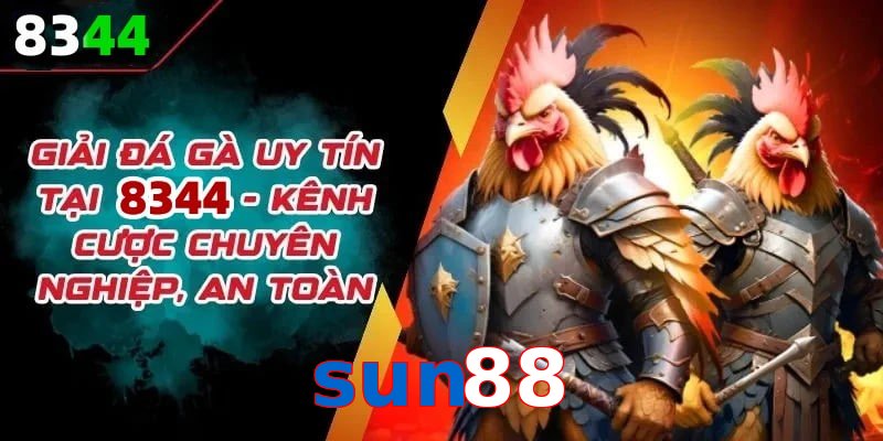 Đơn vị đồng hành cùng đá gà sun88